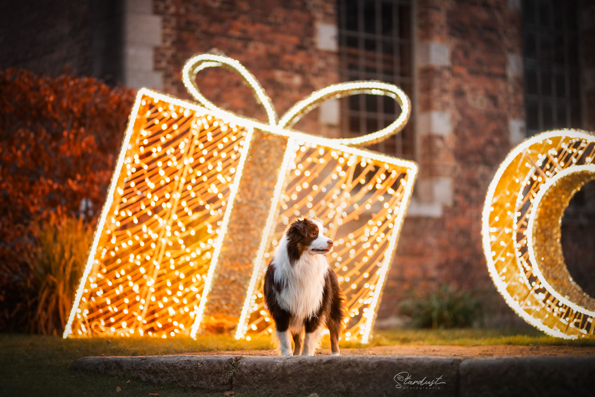Mini-séances urbaines de Noël