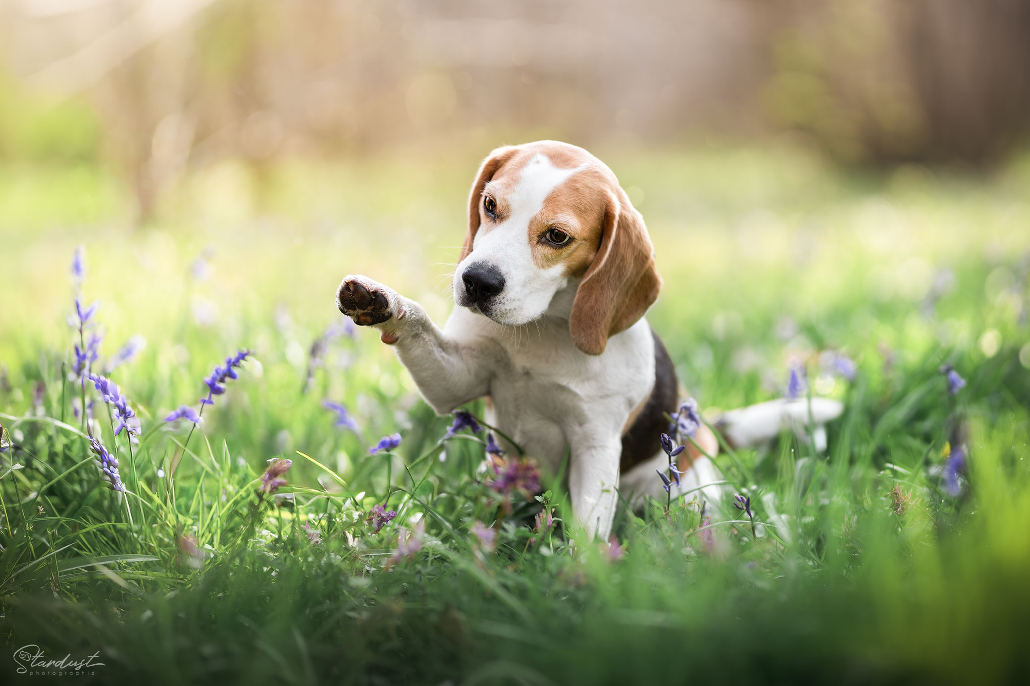 DSC03267-Web